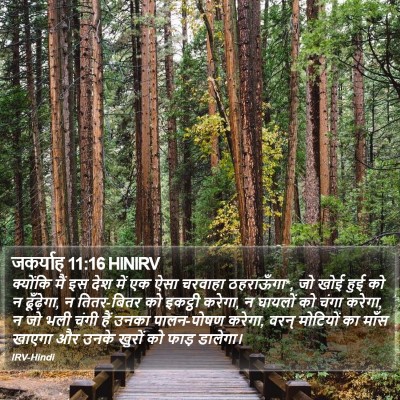 जकर्याह 11:16 HINIRV Bible Verse Image