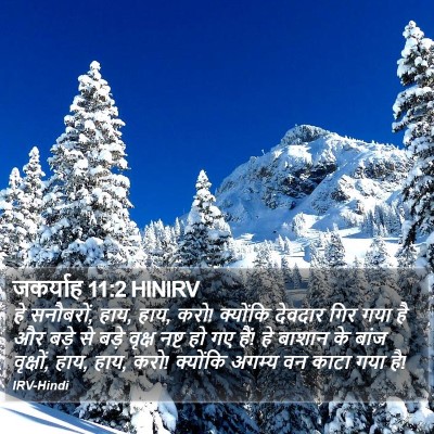 जकर्याह 11:2 HINIRV Bible Verse Image