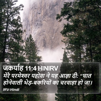 जकर्याह 11:4 HINIRV Bible Verse Image