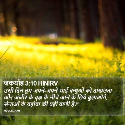 जकर्याह 3:10 HINIRV Bible Verse Image