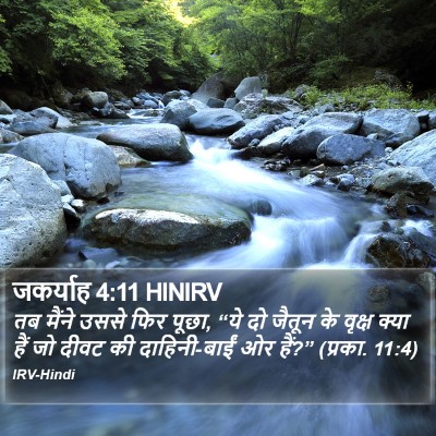 जकर्याह 4:11 HINIRV Bible Verse Image