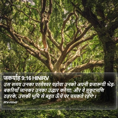 जकर्याह 9:16 HINIRV Bible Verse Image