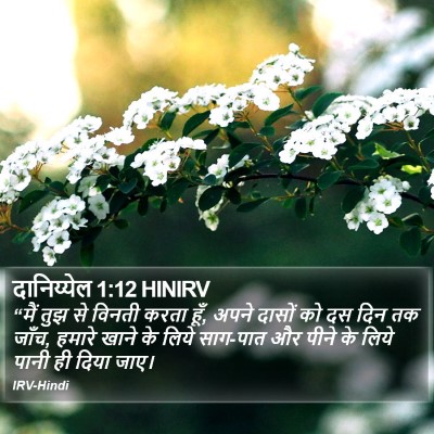 दानिय्येल 1:12 HINIRV Bible Verse Image
