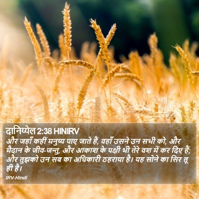 दानिय्येल 2:38 HINIRV Bible Verse Image