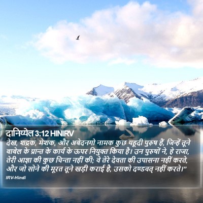 दानिय्येल 3:12 HINIRV Bible Verse Image