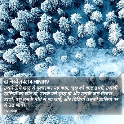 दानिय्येल 4:14 HINIRV Bible Verse Image
