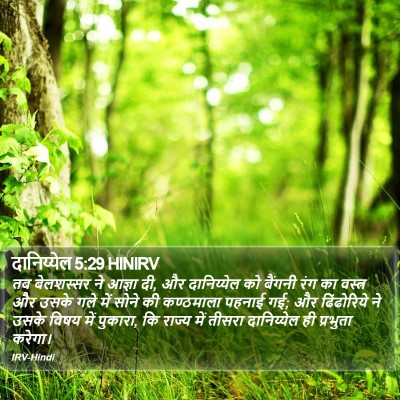 दानिय्येल 5:29 HINIRV Bible Verse Image
