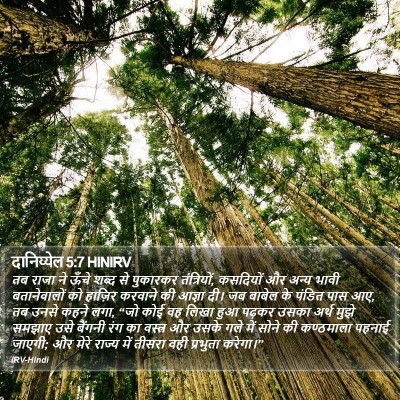 दानिय्येल 5:7 HINIRV Bible Verse Image