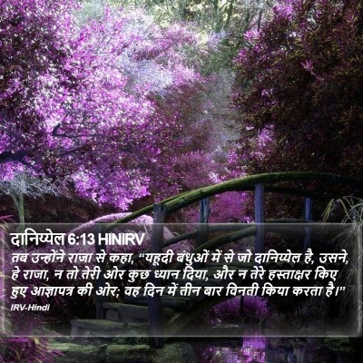 दानिय्येल 6:13 HINIRV Bible Verse Image