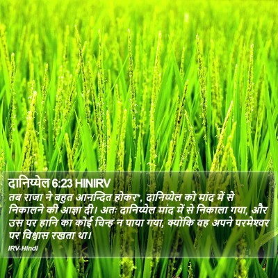 दानिय्येल 6:23 HINIRV Bible Verse Image