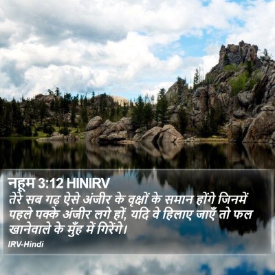 नहूम 3:12 HINIRV Bible Verse Image