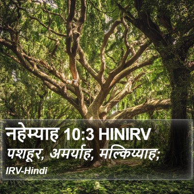 नहेम्याह 10:3 HINIRV Bible Verse Image