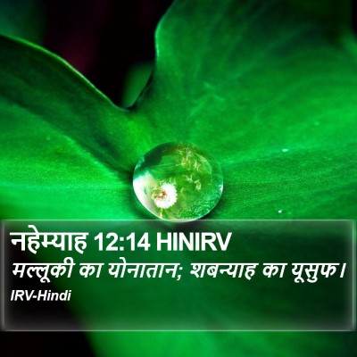 नहेम्याह 12:14 HINIRV Bible Verse Image