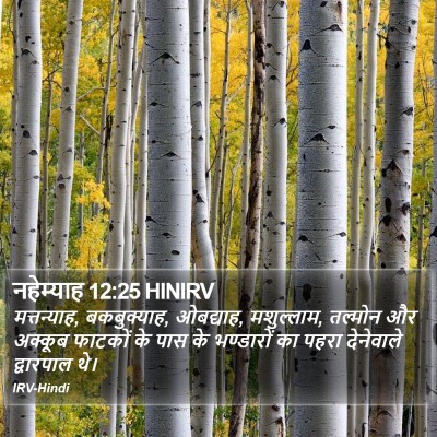 नहेम्याह 12:25 HINIRV Bible Verse Image