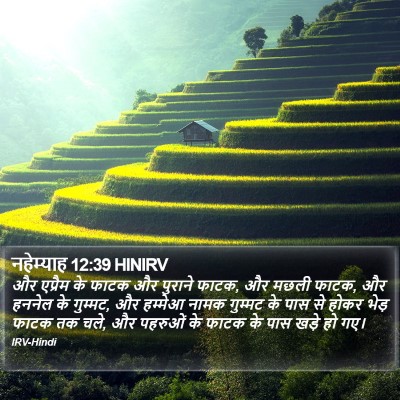 नहेम्याह 12:39 HINIRV Bible Verse Image