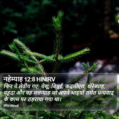 नहेम्याह 12:8 HINIRV Bible Verse Image