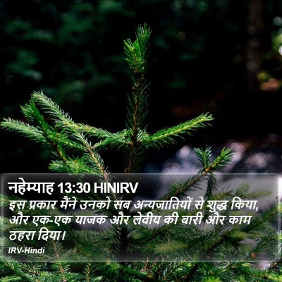 नहेम्याह 13:30 HINIRV Bible Verse Image
