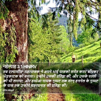 नहेम्याह 3:1 HINIRV Bible Verse Image