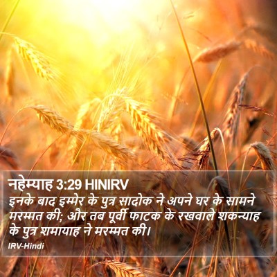 नहेम्याह 3:29 HINIRV Bible Verse Image