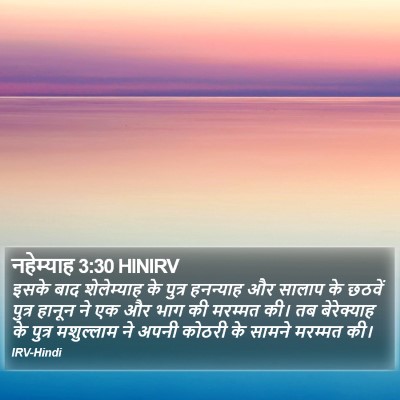 नहेम्याह 3:30 HINIRV Bible Verse Image
