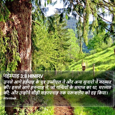 नहेम्याह 3:8 HINIRV Bible Verse Image