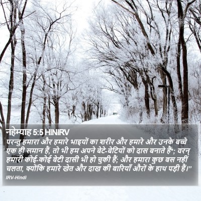 नहेम्याह 5:5 HINIRV Bible Verse Image