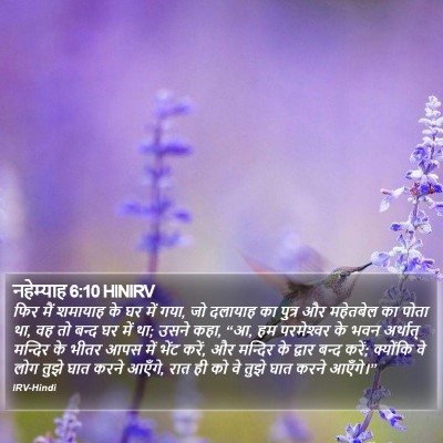 नहेम्याह 6:10 HINIRV Bible Verse Image