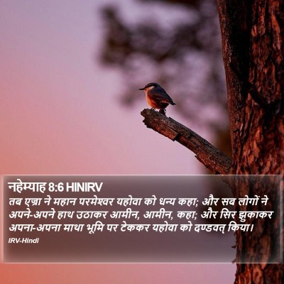 नहेम्याह 8:6 HINIRV Bible Verse Image
