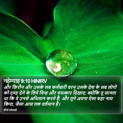नहेम्याह 9:10 HINIRV Bible Verse Image