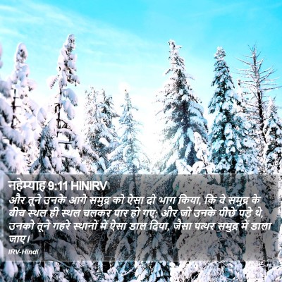 नहेम्याह 9:11 HINIRV Bible Verse Image