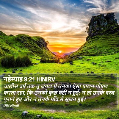 नहेम्याह 9:21 HINIRV Bible Verse Image