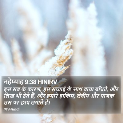 नहेम्याह 9:38 HINIRV Bible Verse Image