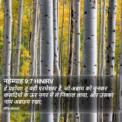 नहेम्याह 9:7 HINIRV Bible Verse Image