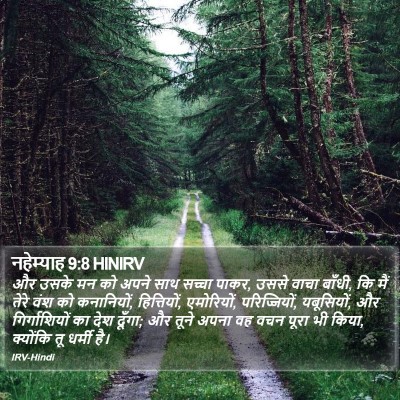 नहेम्याह 9:8 HINIRV Bible Verse Image