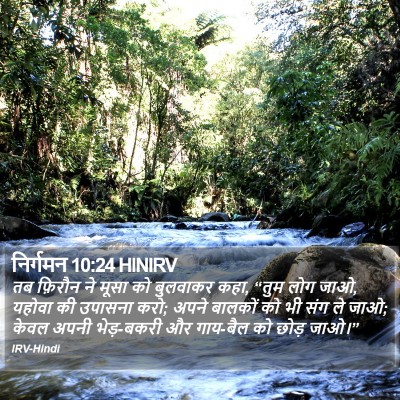निर्गमन 10:24 HINIRV Bible Verse Image