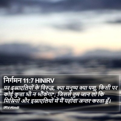 निर्गमन 11:7 HINIRV Bible Verse Image
