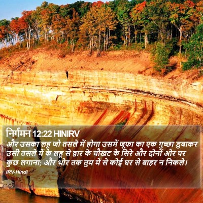निर्गमन 12:22 HINIRV Bible Verse Image