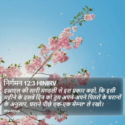 निर्गमन 12:3 HINIRV Bible Verse Image