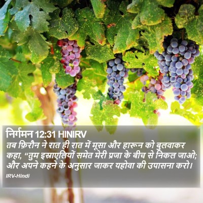 निर्गमन 12:31 HINIRV Bible Verse Image