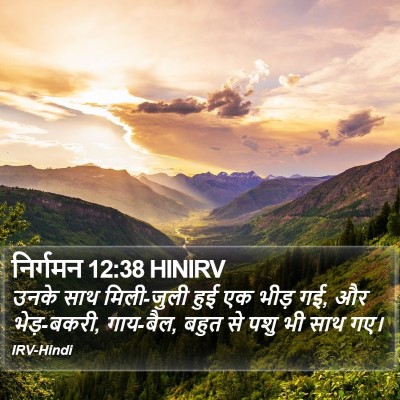 निर्गमन 12:38 HINIRV Bible Verse Image