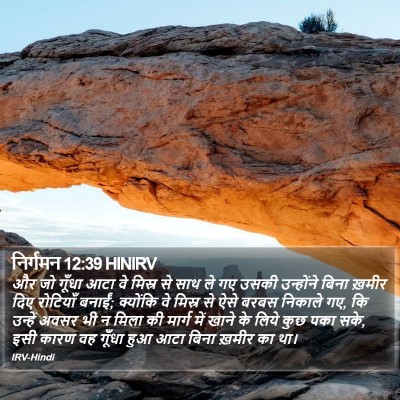 निर्गमन 12:39 HINIRV Bible Verse Image