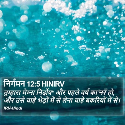 निर्गमन 12:5 HINIRV Bible Verse Image