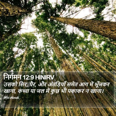 निर्गमन 12:9 HINIRV Bible Verse Image