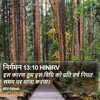 निर्गमन 13:10 HINIRV Bible Verse Image