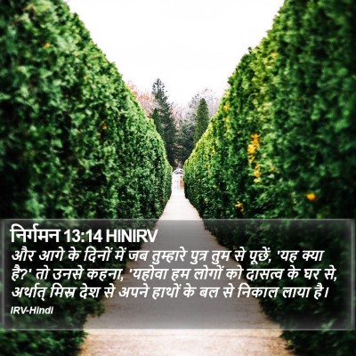 निर्गमन 13:14 HINIRV Bible Verse Image