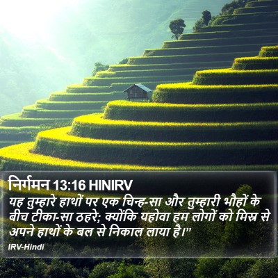 निर्गमन 13:16 HINIRV Bible Verse Image