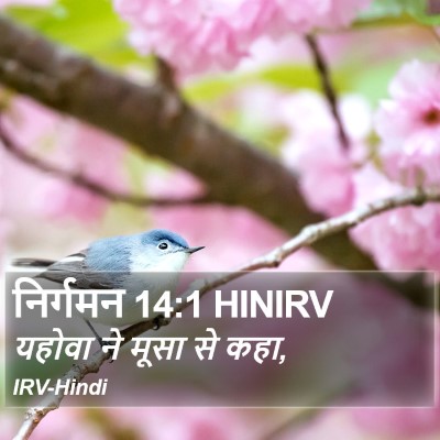 निर्गमन 14:1 HINIRV Bible Verse Image