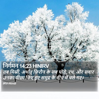 निर्गमन 14:23 HINIRV Bible Verse Image