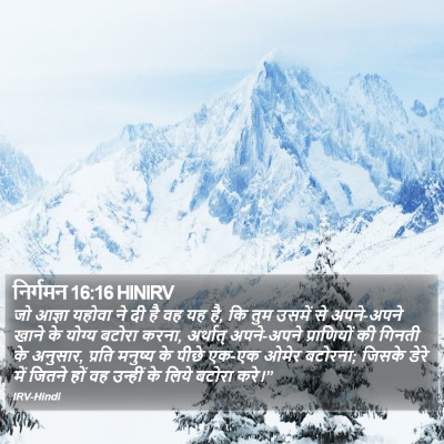 निर्गमन 16:16 HINIRV Bible Verse Image