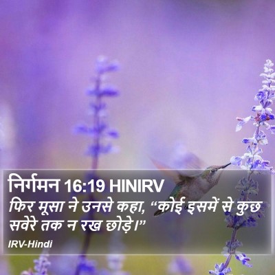 निर्गमन 16:19 HINIRV Bible Verse Image